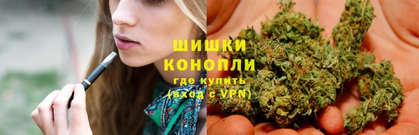 гидра Абаза