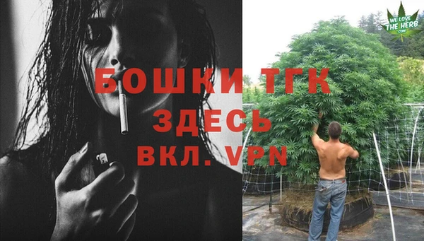 PSILOCYBIN Арсеньев