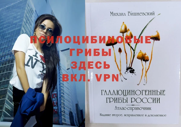 PSILOCYBIN Арсеньев