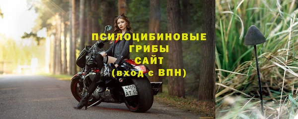 PSILOCYBIN Арсеньев