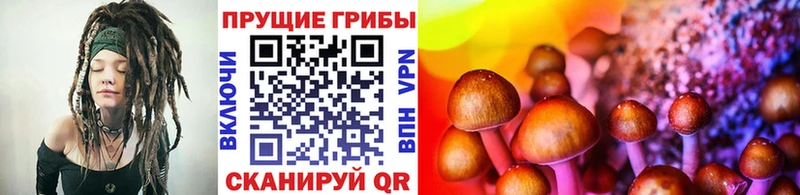 сайты даркнета официальный сайт Королёв Галлюциногенные грибы MAGIC MUSHROOMS дарнет шоп